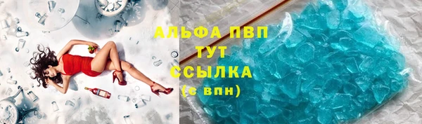 гидра Гусь-Хрустальный