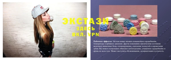 амф Гусев