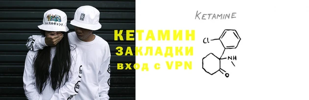 амф Гусев