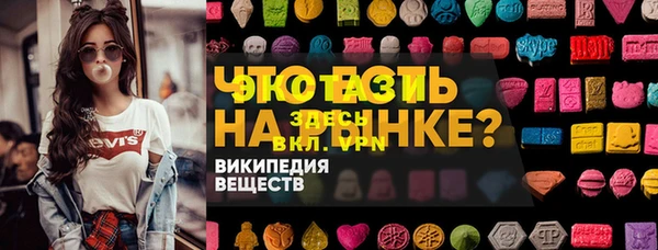 амф Гусев
