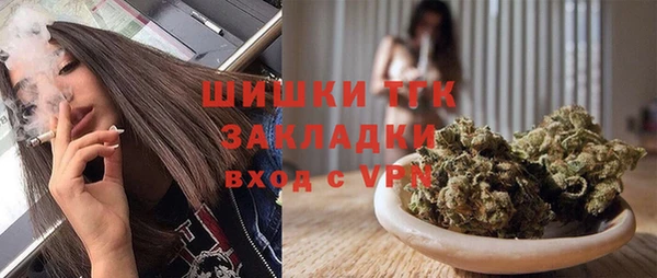 амф Гусев