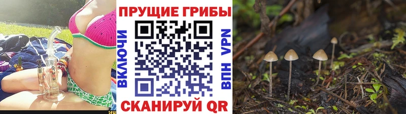 МЕГА tor  Невьянск  Псилоцибиновые грибы GOLDEN TEACHER  купить  цена 